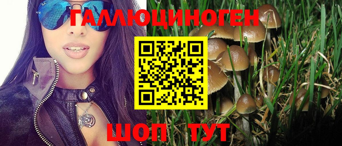 Псилоцибиновые грибы MAGIC MUSHROOMS Коломна