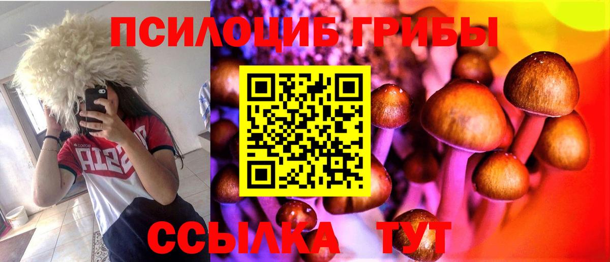 Коломна  Псилоцибиновые грибы MAGIC MUSHROOMS  Вход с VPN 